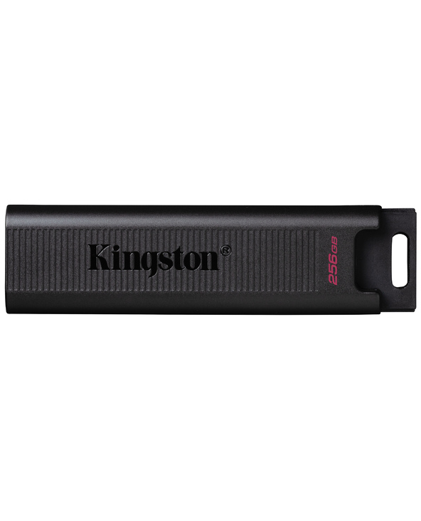 Kingston Technology DataTraveler 256GB Max 1000R/900W USB 3.2 Gen 2
