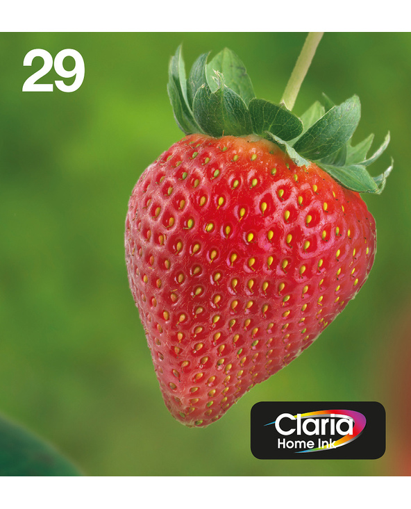 Epson Strawberry Multipack EasyMail "Fraise" 29 - Encre Claria Home N,C,M,J