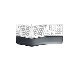 CHERRY KC 4500 ERGO clavier Universel USB QWERTZ Allemand Blanc