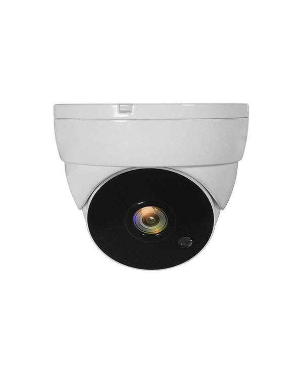LevelOne ACS-5302 caméra de sécurité Dôme Caméra de sécurité CCTV Intérieure et extérieure Plafond