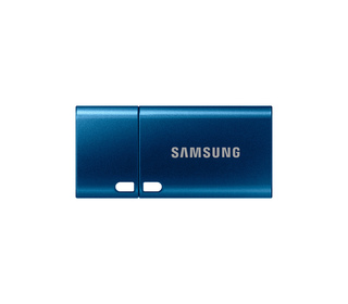 Samsung MUF-256DA lecteur USB flash 256 Go USB Type-C 3.2 Gen 1 (3.1 Gen 1) Bleu