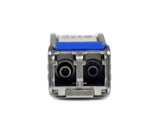 60099901