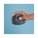 R-Go Tools Souris verticale R-Go HE Basic, ergonomique, droiter, moyen (longueur de la main 165-185 mm), bluetooth, gris