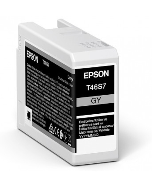 Epson UltraChrome Pro cartouche d'encre 1 pièce(s) Original Gris