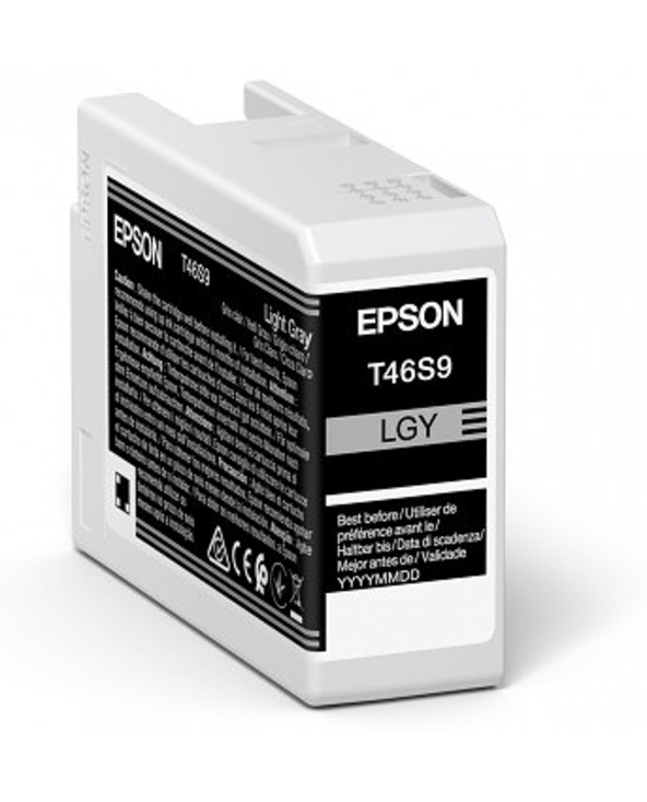 Epson UltraChrome Pro cartouche d'encre 1 pièce(s) Original Gris clair