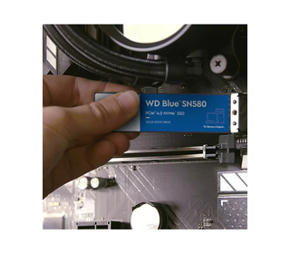 78810933