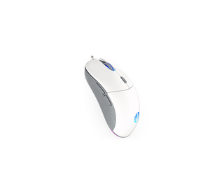 ENDORFY GEM Plus Onyx White souris Jouer Droitier USB Type-C Optique 19000 DPI