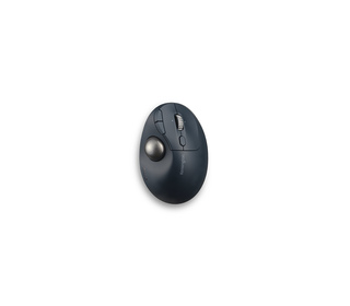 Kensington Pro Fit Ergo TB550 souris Bureau Droitier RF sans fil + Bluetooth Trackball 1600 DPI