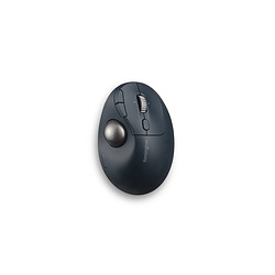 Kensington Pro Fit Ergo TB550 souris Bureau Droitier RF sans fil + Bluetooth Trackball 1600 DPI