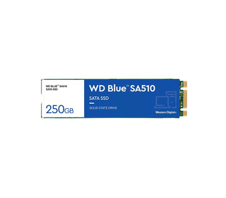 Western Digital Blue SA510 M.2 250 Go Série ATA III