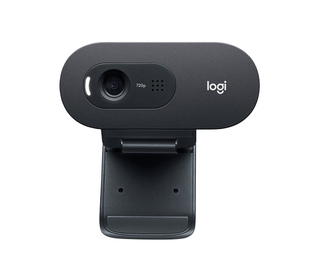 Logitech C505e webcam 1280 x 720 pixels USB Noir