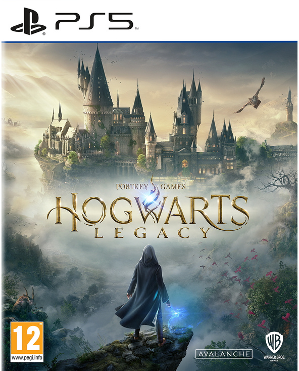 Warner Bros. Games Hogwarts Legacy Standard Anglais PlayStation 5