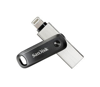 SanDisk SDIX60N-256G-GN6NE lecteur USB flash 256 Go 3.2 Gen 1 (3.1 Gen 1) Gris, Argent