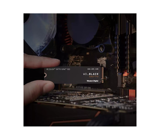 60663198