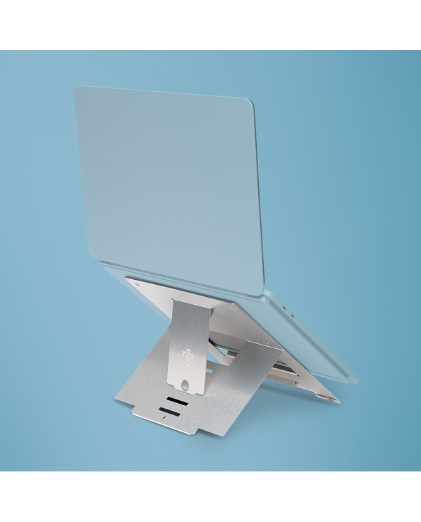 R-Go Tools Support pour ordinateur portable R-Go Riser Flexible, pliable et réglable, ergonomique, aluminium Hylite, argent