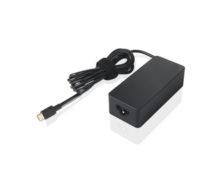 Lenovo GX20P92529 adaptateur de puissance & onduleur Intérieure 65 W Noir