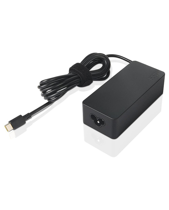 Lenovo GX20P92529 adaptateur de puissance & onduleur Intérieure 65 W Noir