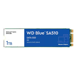 Western Digital Blue SA510 M.2 1 To Série ATA III