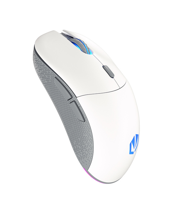 ENDORFY GEM Plus Wireless Onyx White souris Jouer Ambidextre RF Wireless + USB Type-C Optique 26000 DPI