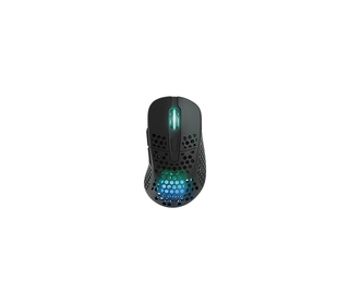 CHERRY XTRFY M4 RGB souris Jouer Droitier RF Wireless + USB Type-C Optique 19000 DPI