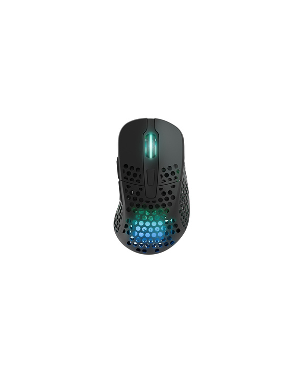 CHERRY XTRFY M4 RGB souris Jouer Droitier RF Wireless + USB Type-C Optique 19000 DPI