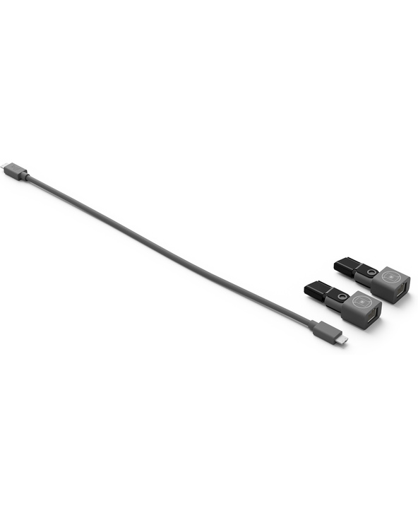 Logitech Rally Mic Pod CAT Coupler Câble d'extension Graphite