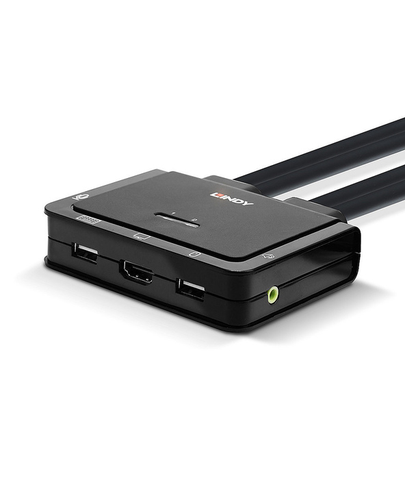 Lindy 42345 commutateur écran, clavier et souris Grille de montage Noir