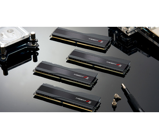 60026902