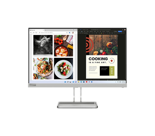 Lenovo L24I-40 23.8" LED Full HD 6 ms Gris