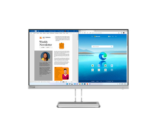 Lenovo L27I-40 27" LED Full HD 6 ms Gris