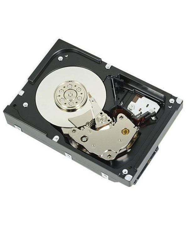 Dell Wyse 400-APEH disque dur 3.5" 1 To SATA