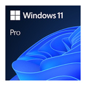 Microsoft Windows 11 Pro OEM