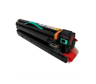 Ricoh 411018 pièce de rechange pour équipement d'impression 1 pièce(s)