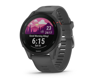 Garmin Forerunner 255 3,3 cm (1.3") MIP 46 mm Numérique 260 x 260 pixels Écran tactile Gris Wifi GPS (satellite)