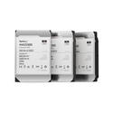 Synology HAS5300-8T disque dur 3.5" 8 To SAS