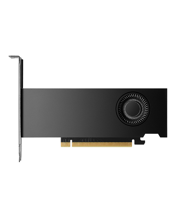PNY NVIDIA RTX 2000 Ada Generation 16 Go GDDR6