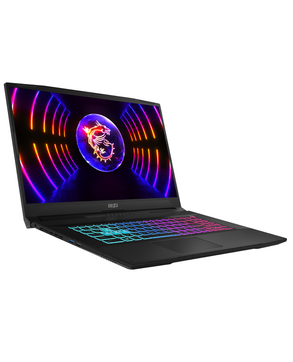 MSI Katana 17 B13VGK-1041FR 17.3 I7 16 Go Noir 1 To