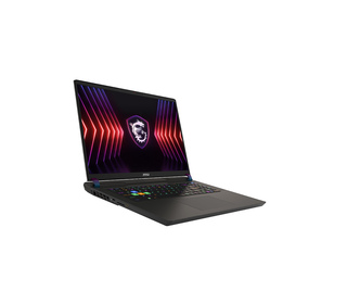 MSI Vector 17 HX A14VHG-617FR 17" I9 32 Go Noir 1 To