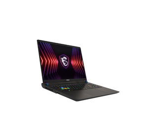 MSI VECTOR 16 HX A14VIG-299FR 16" I9 32 Go Noir 1 To