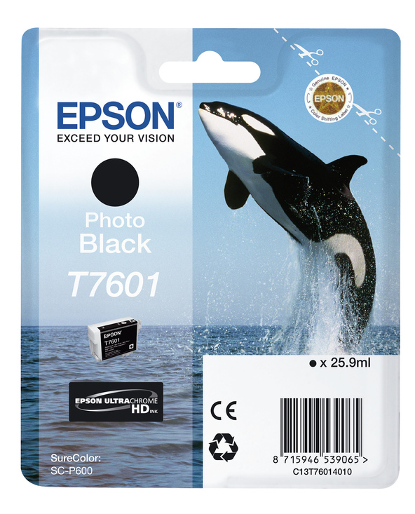 Epson T7601 Noir photo