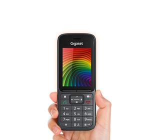 52585006