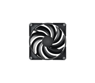 79815252