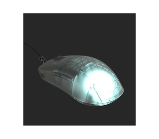 Endgame Gear OP1 RGB souris Jouer Droitier USB Type-A Optique 26000 DPI