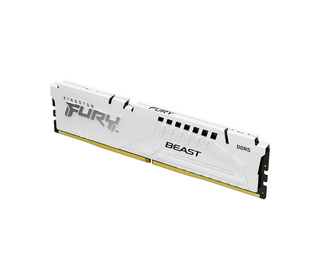 Kingston Technology FURY Beast 16 Go 6000 MT/s DDR5 CL36 DIMM White EXPO