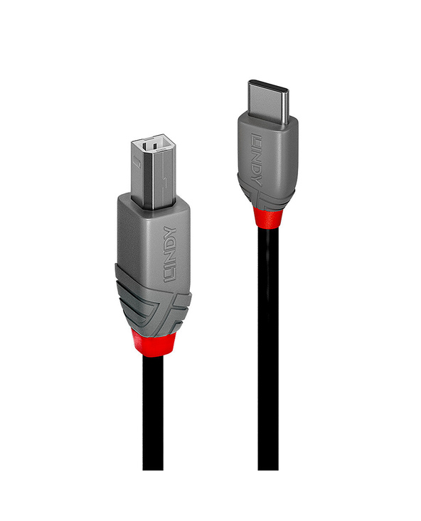 Lindy 36941 câble USB USB 2.0 1 m USB C USB B Noir
