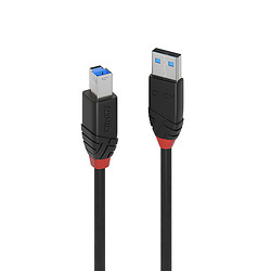 Lindy 43227 câble USB USB 3.2 Gen 1 (3.1 Gen 1) 10 m USB A USB B Noir
