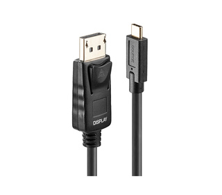 Lindy 43307 câble vidéo et adaptateur 10 m USB Type-C DisplayPort Noir