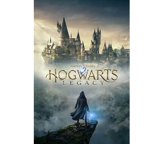 Warner Bros. Games Hogwarts Legacy Standard Multilingue Nintendo Switch