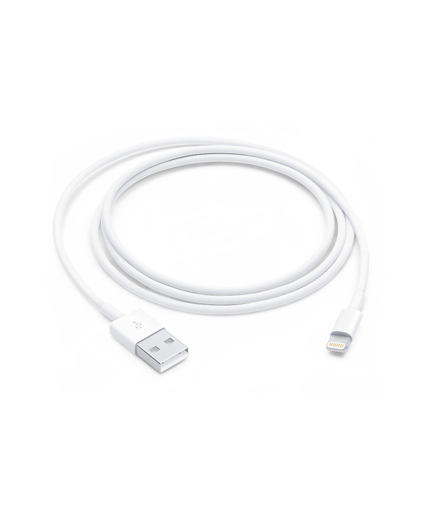 Apple Câble Lightning vers USB (1 m)