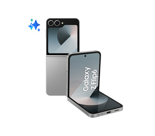 Samsung Galaxy Z FLIP6 SM-F741B 6.7" 256 Go Argent